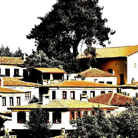 Sihirbazin Evi *