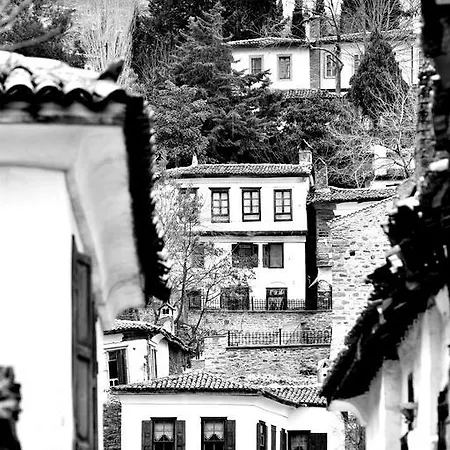 Sihirbazin Evi * Selcuk