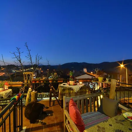 Sihirbazin Evi Homestay Selcuk